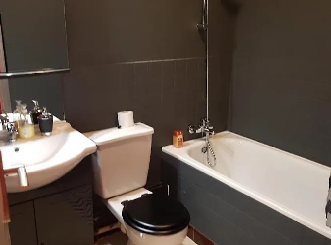 L'horizon - F2 - 1er Etage * Épinal